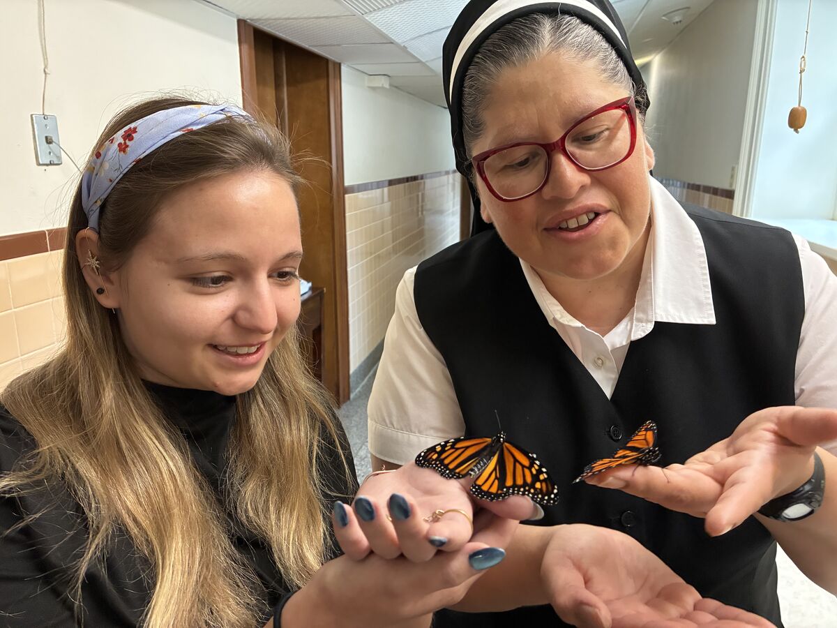 Franciscan Sisters of Christian Charity 